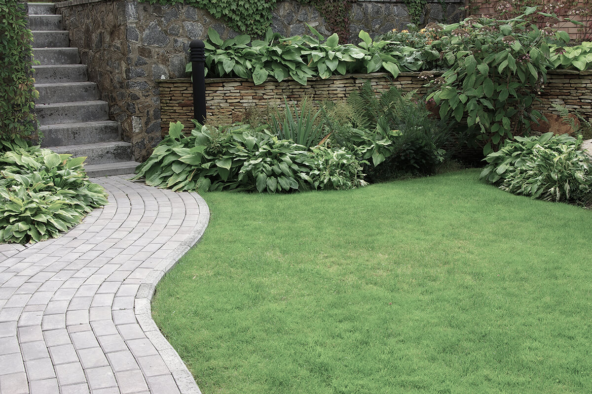 Welcome to Norwich Landscaping